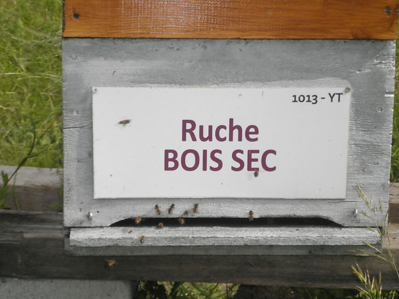 La ruche Bois sec