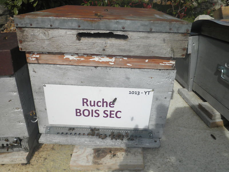 La ruche Bois sec