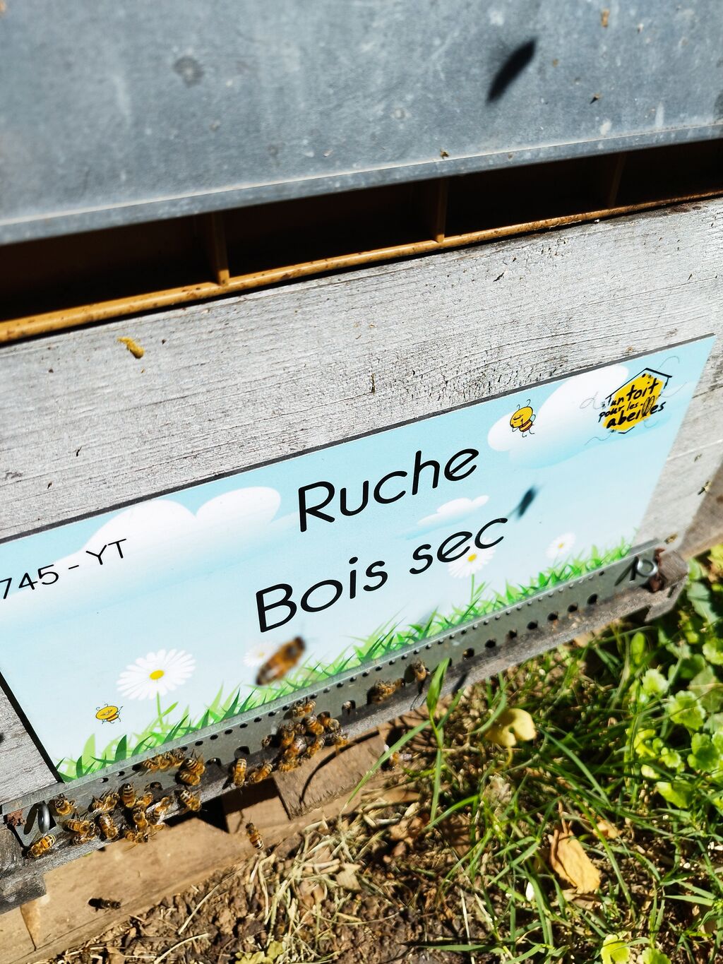 La ruche Bois sec