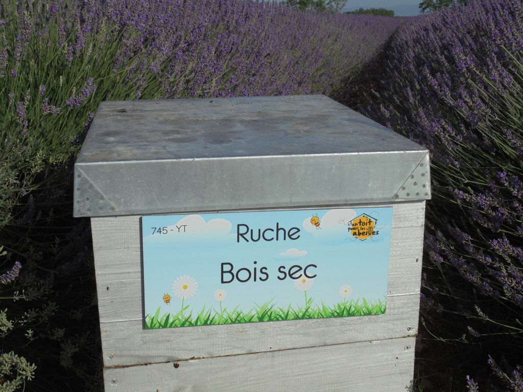 La ruche Bois sec