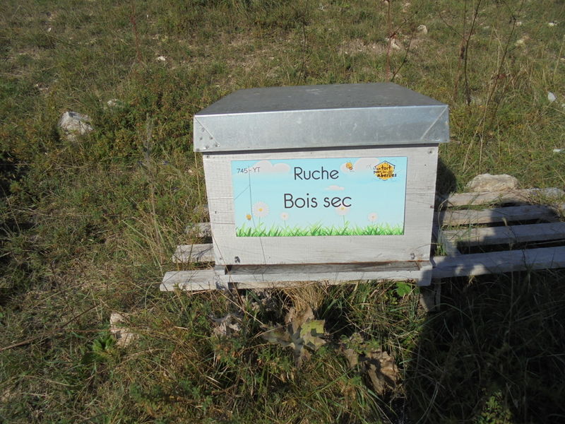 La ruche Bois sec