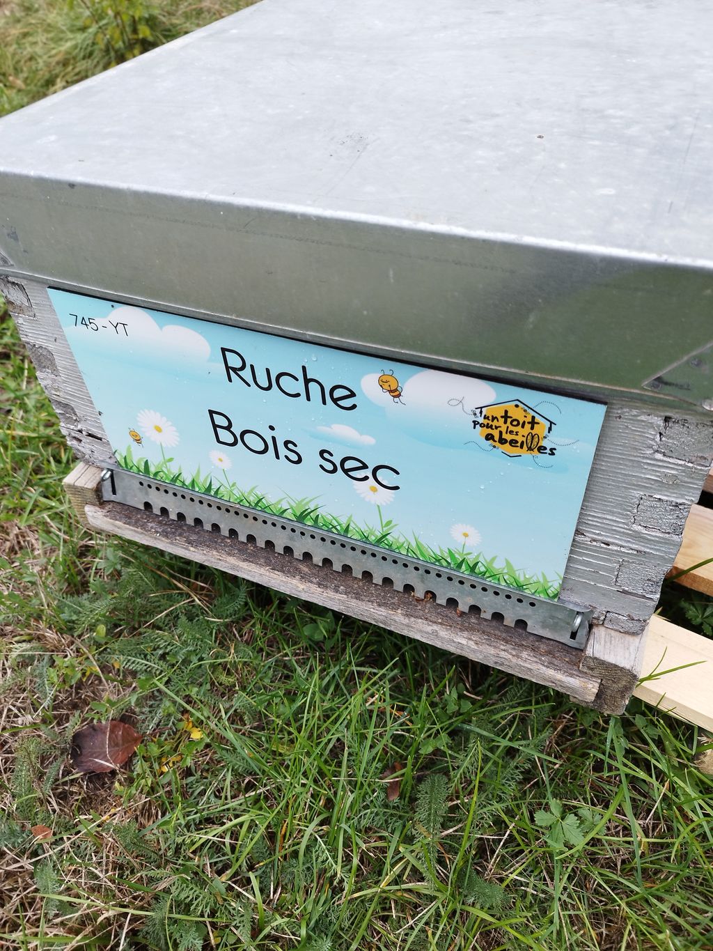 La ruche Bois sec