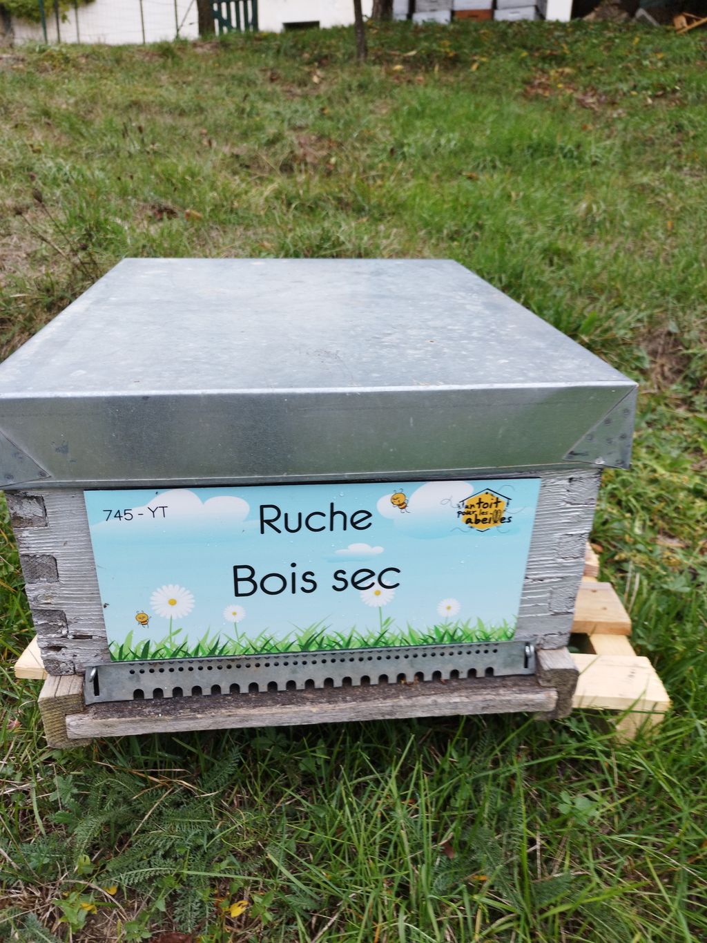 La ruche Bois sec