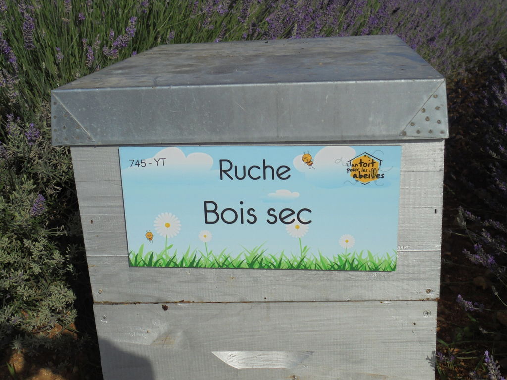 La ruche Bois sec