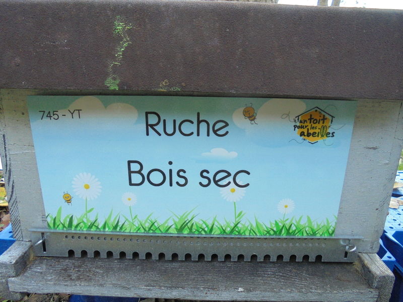 La ruche Bois sec