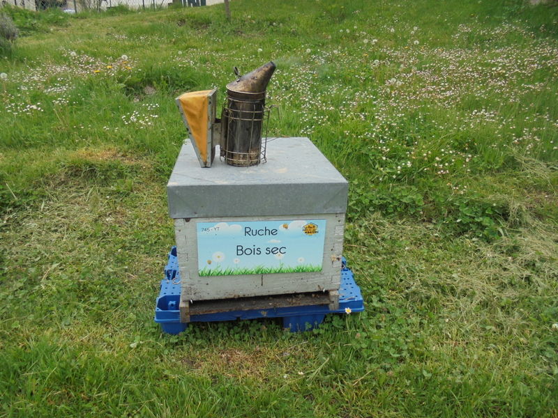 La ruche Bois sec