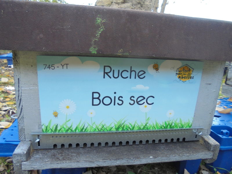 La ruche Bois sec