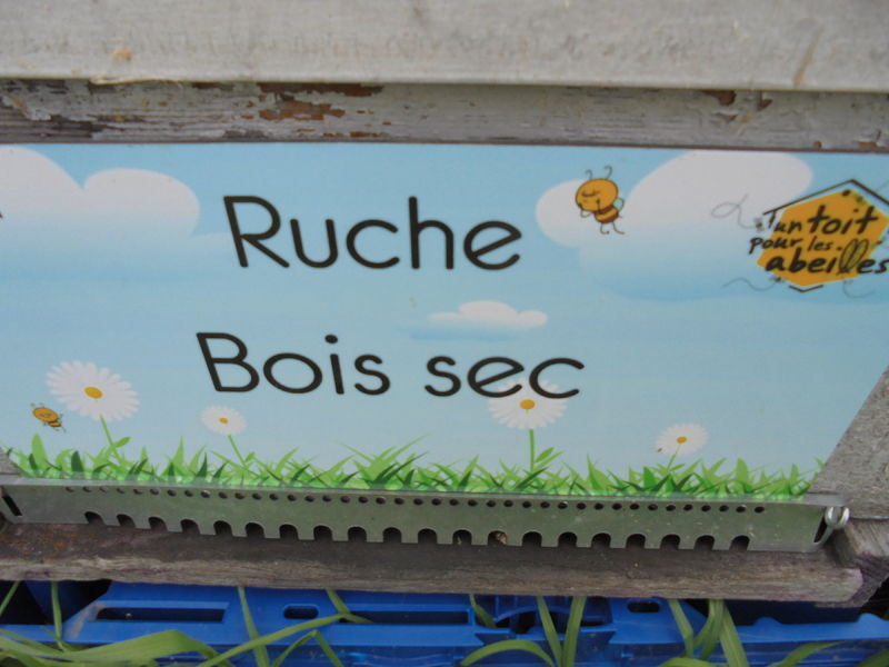 La ruche Bois sec