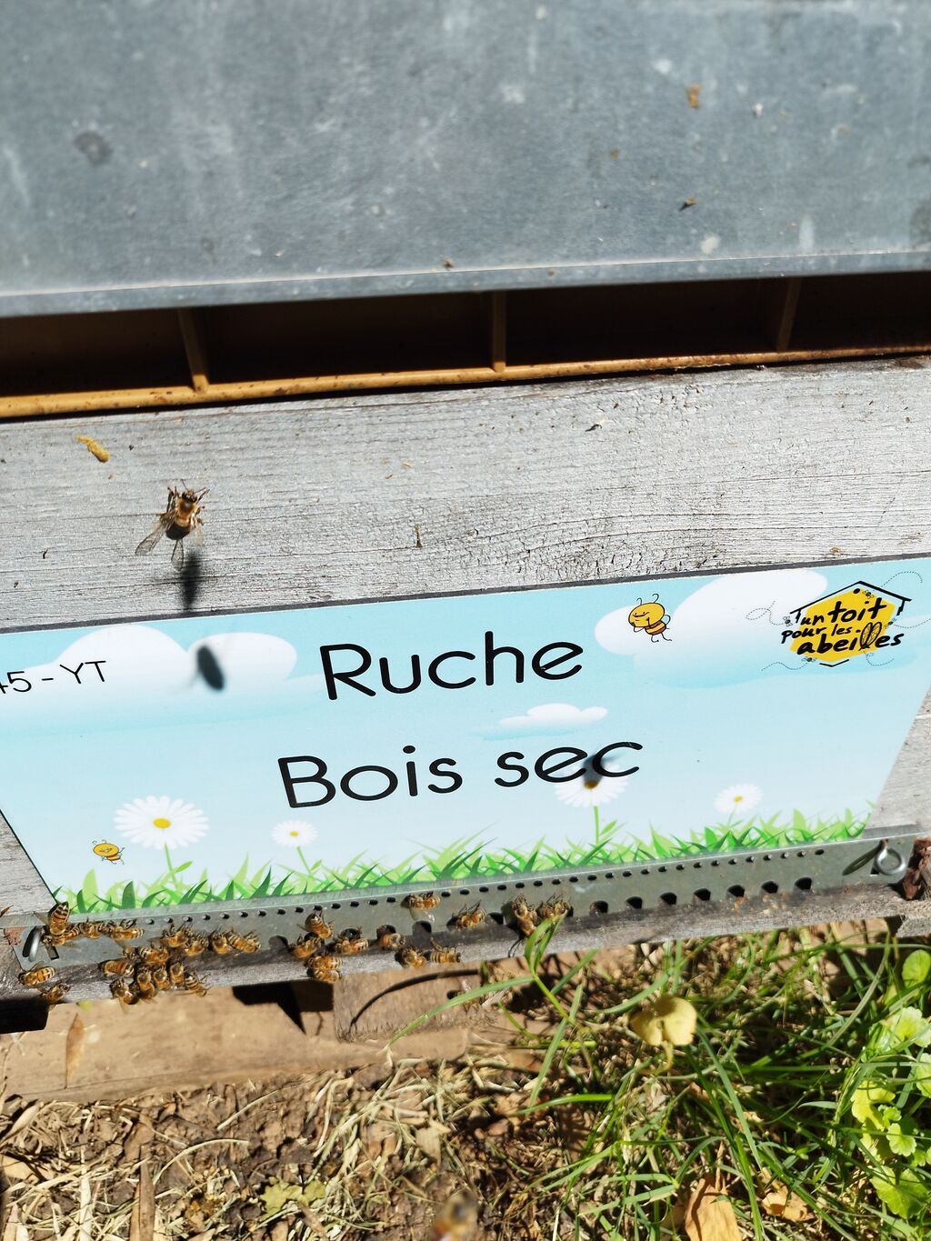 La ruche Bois sec
