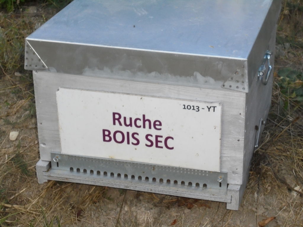La ruche Bois sec