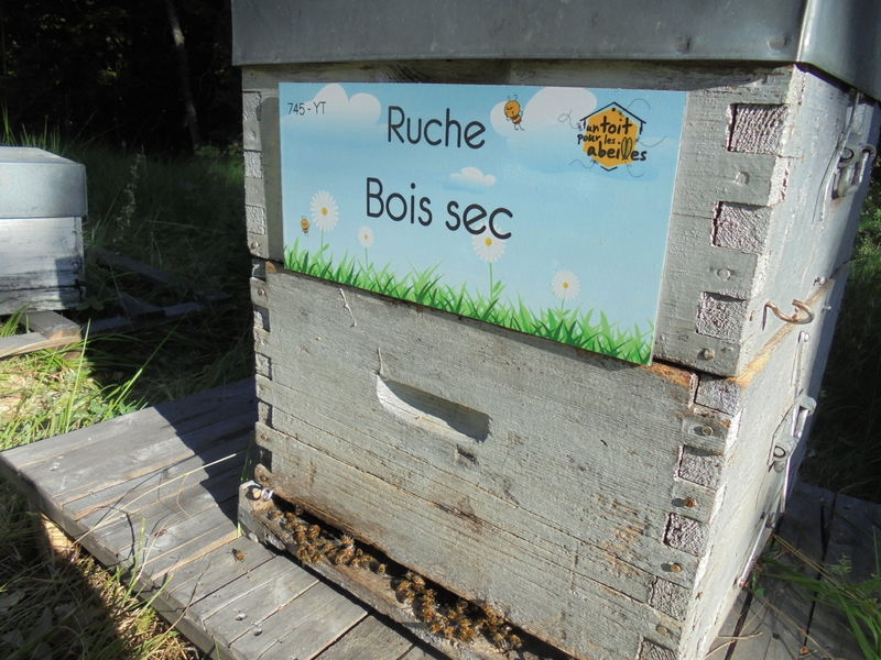 La ruche Bois sec
