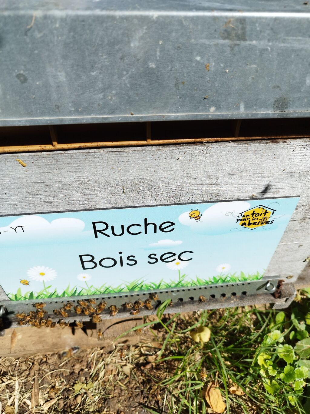 La ruche Bois sec