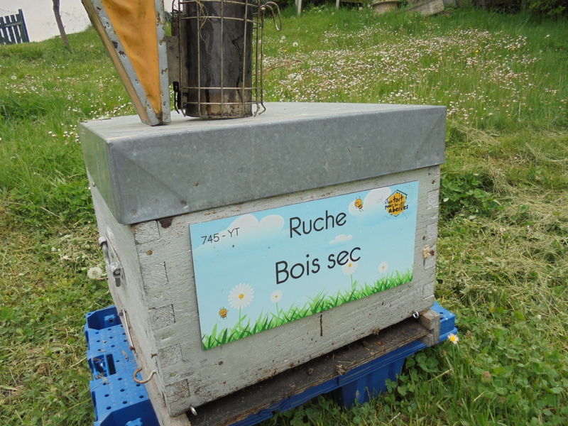 La ruche Bois sec