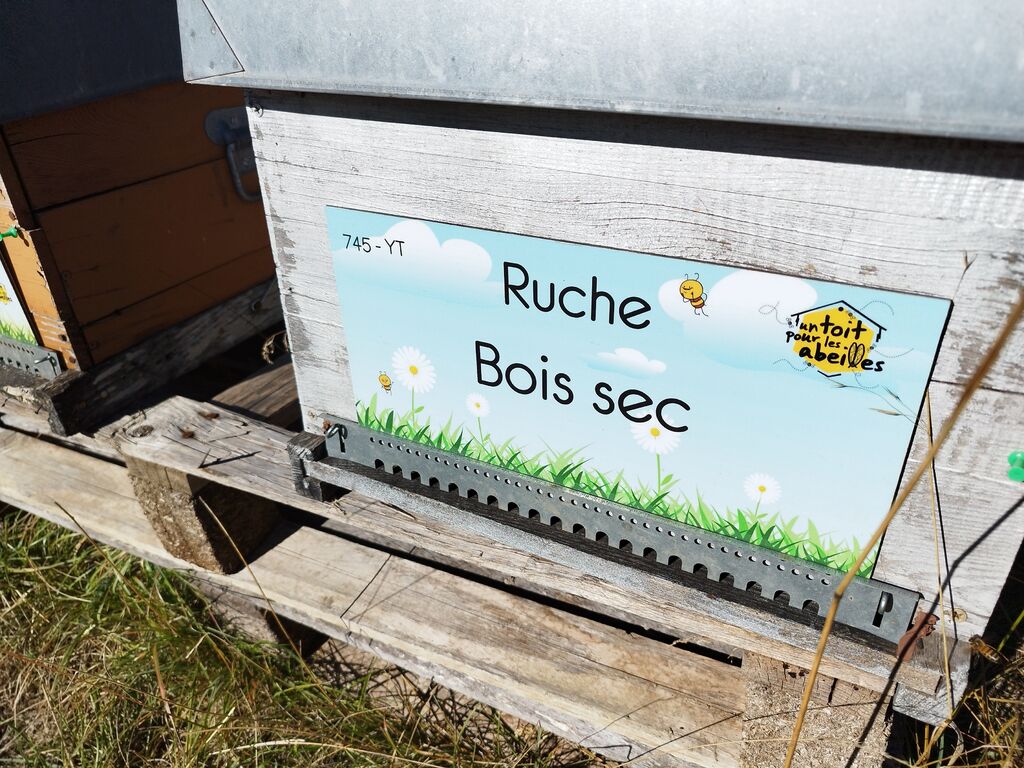 La ruche Bois sec