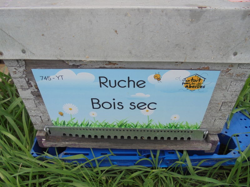 La ruche Bois sec