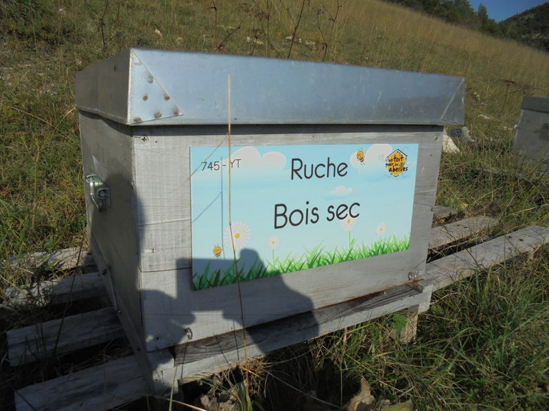 La ruche Bois sec
