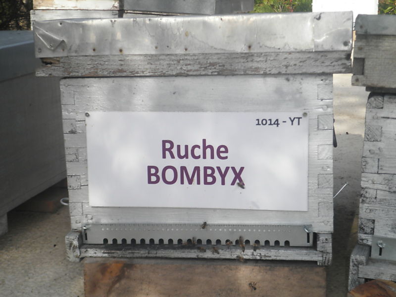 La ruche