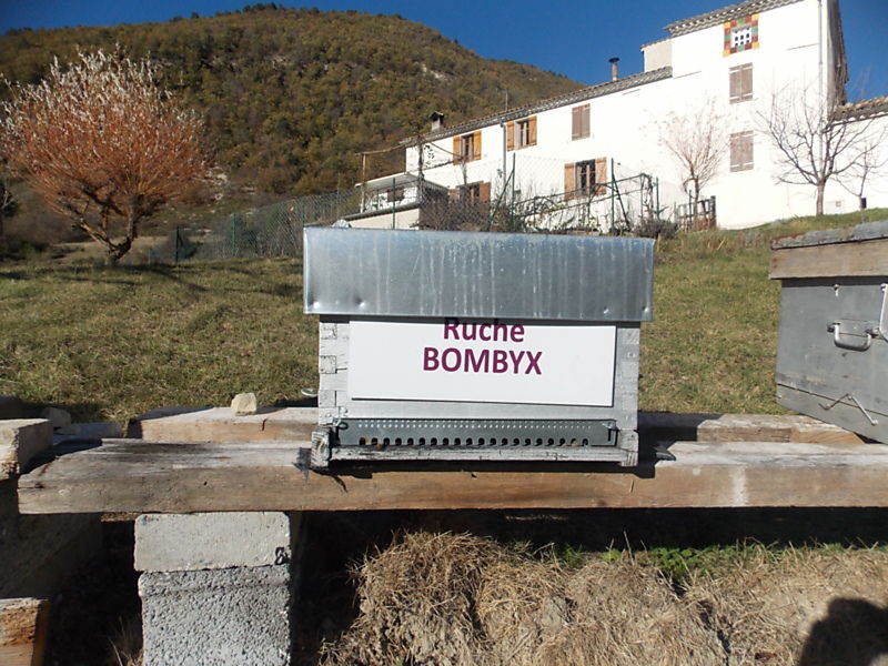 La ruche Bombyx