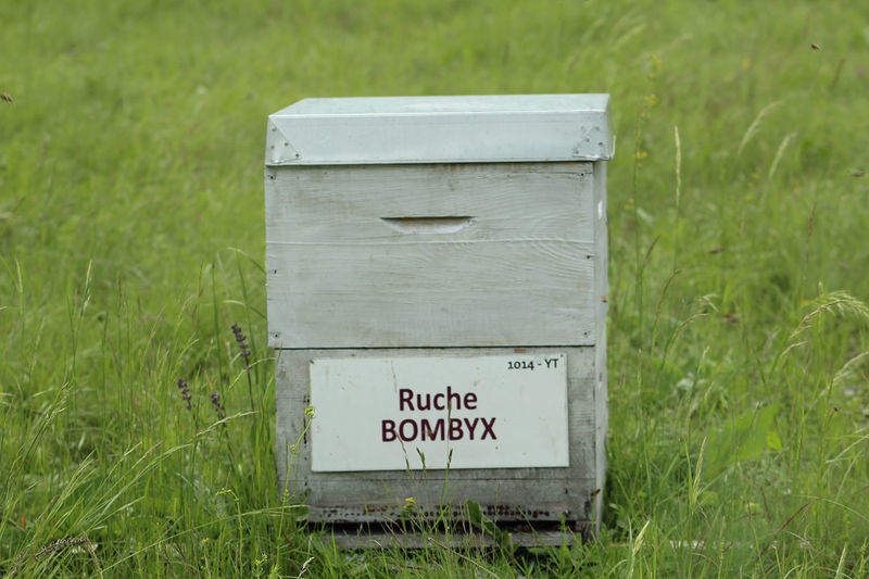 La ruche Bombyx