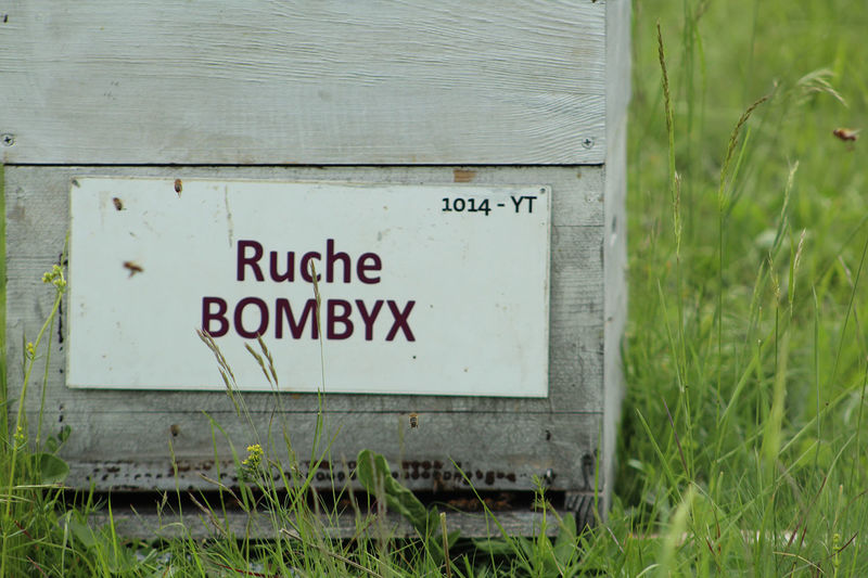 La ruche Bombyx