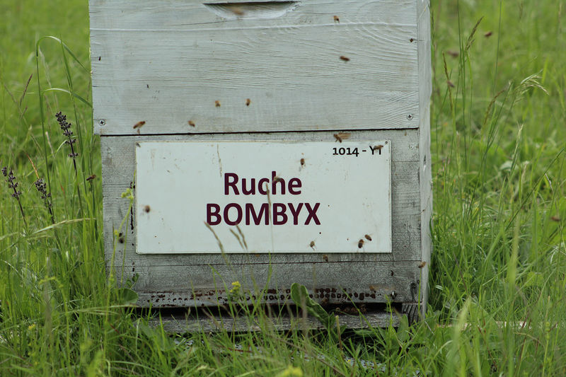 La ruche Bombyx