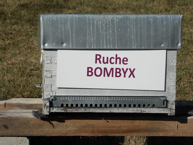 La ruche Bombyx