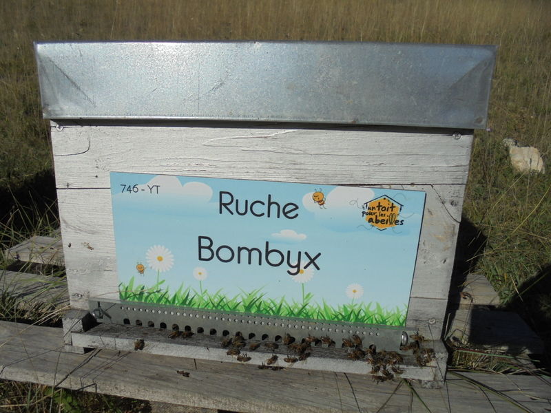 La ruche Bombyx