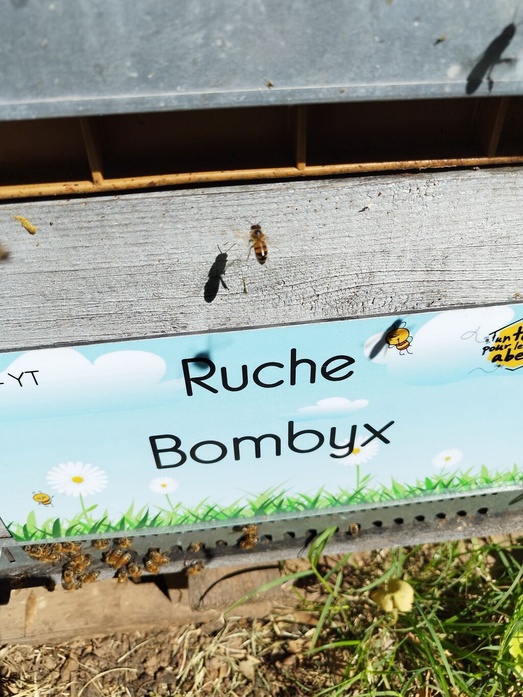 La ruche Bombyx