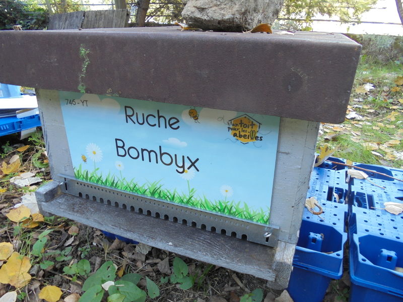 La ruche Bombyx