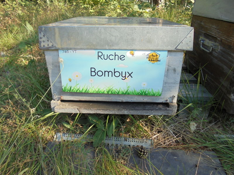 La ruche Bombyx
