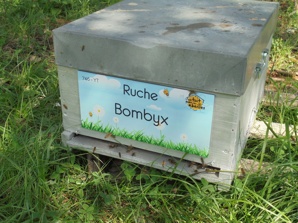 La ruche Bombyx