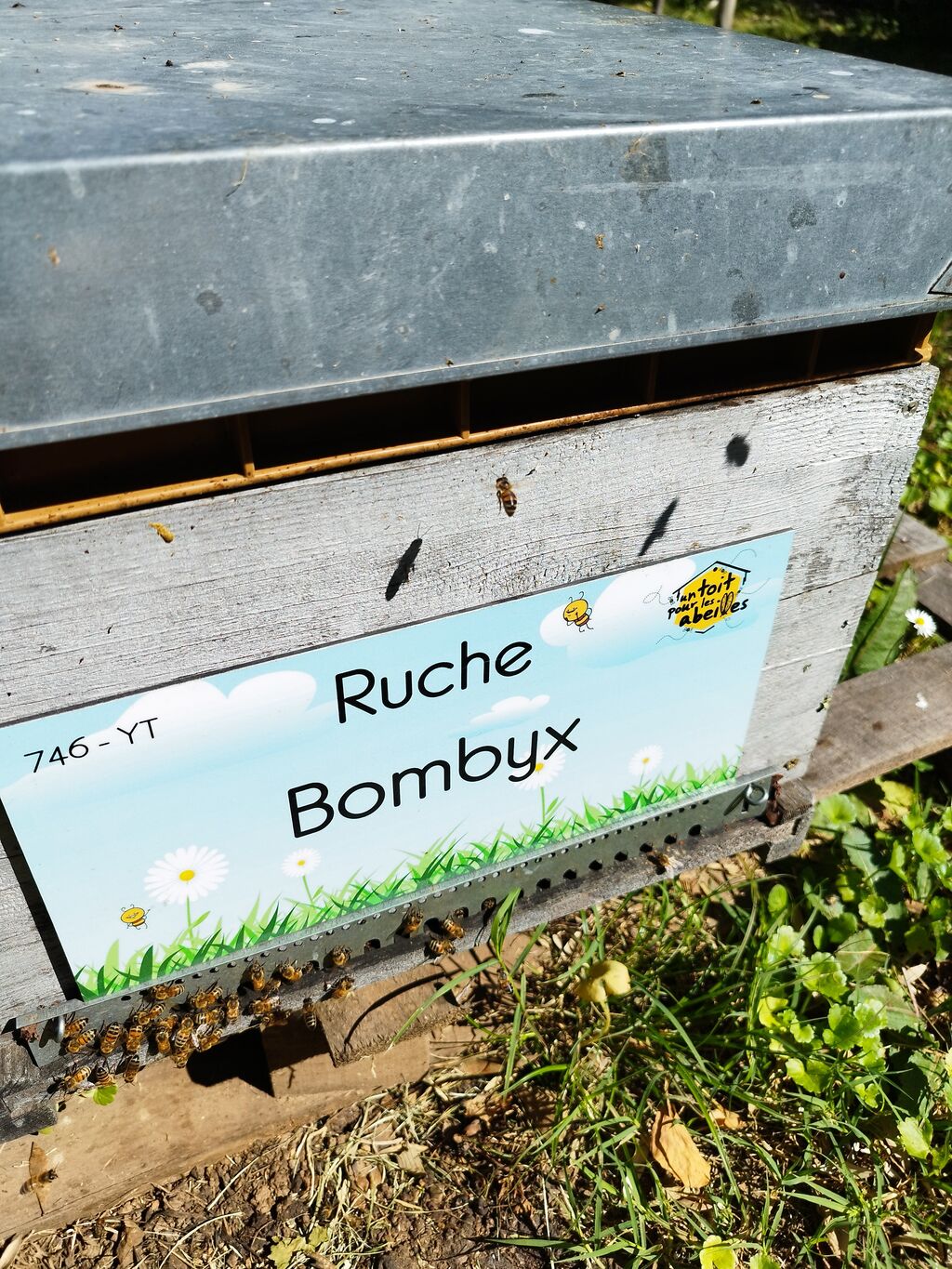 La ruche Bombyx