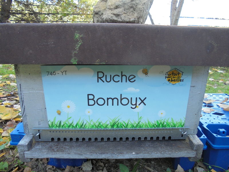 La ruche Bombyx