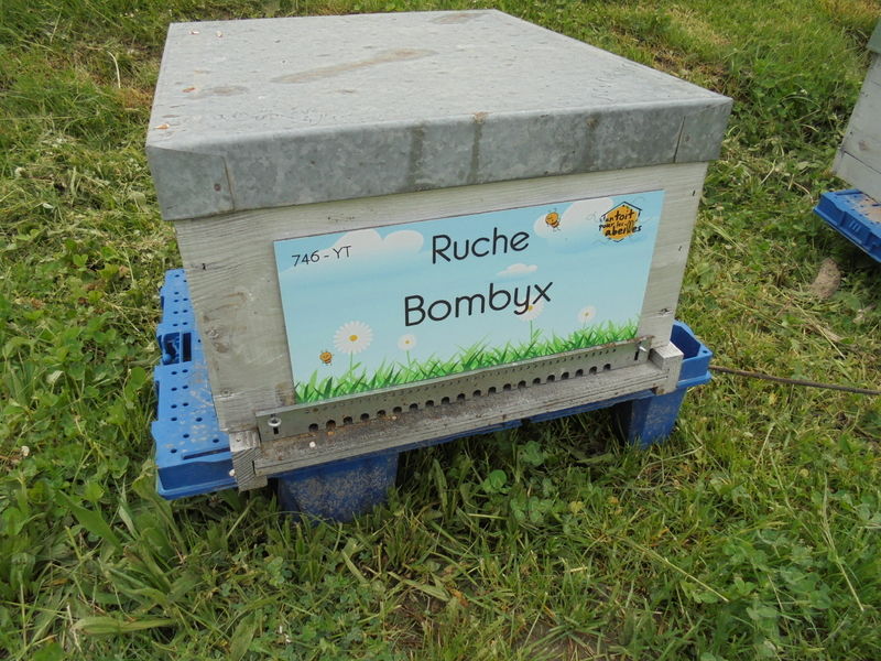 La ruche Bombyx