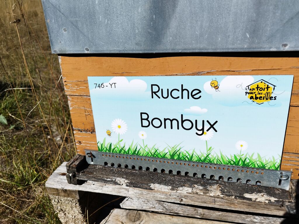 La ruche Bombyx