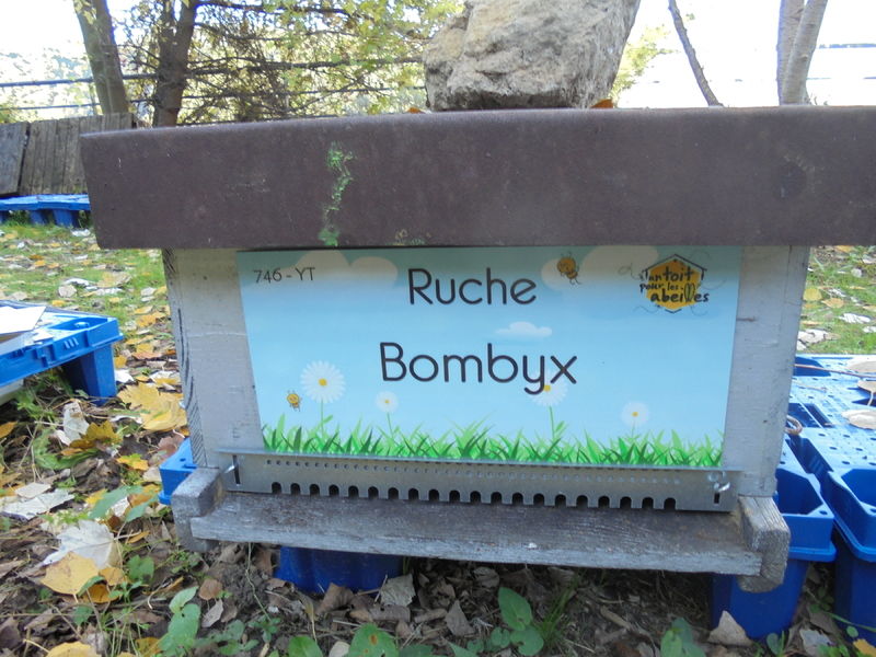La ruche Bombyx