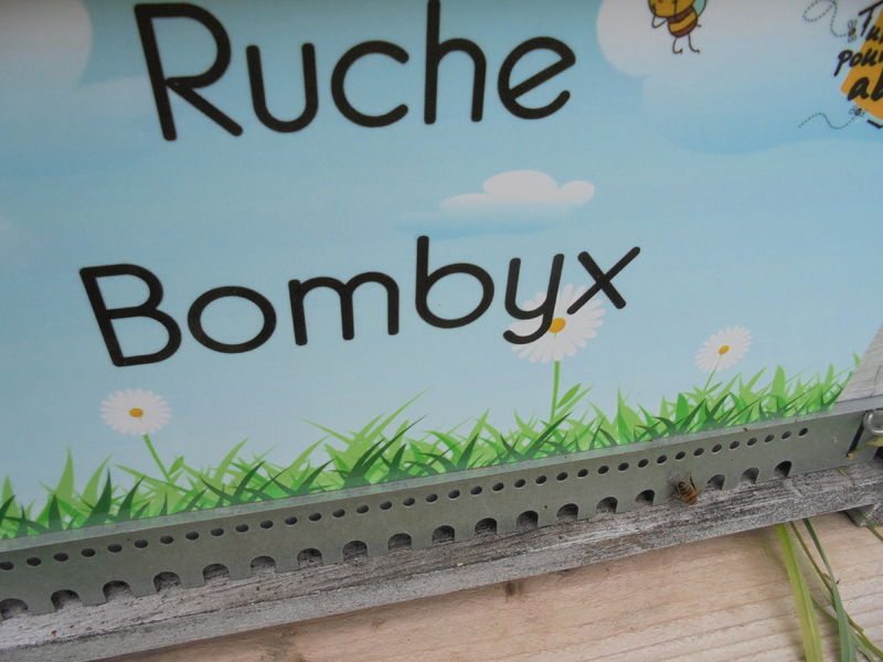 La ruche Bombyx