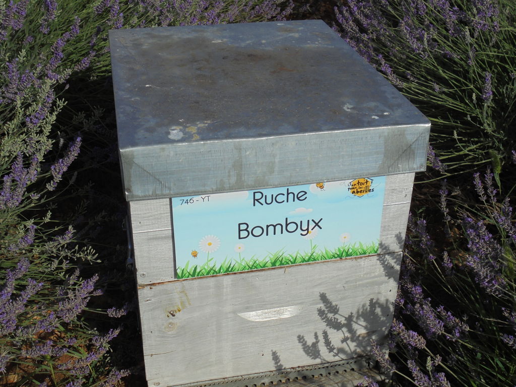 La ruche Bombyx