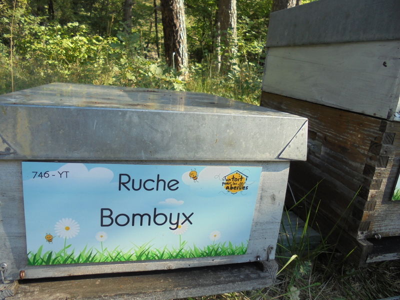 La ruche Bombyx