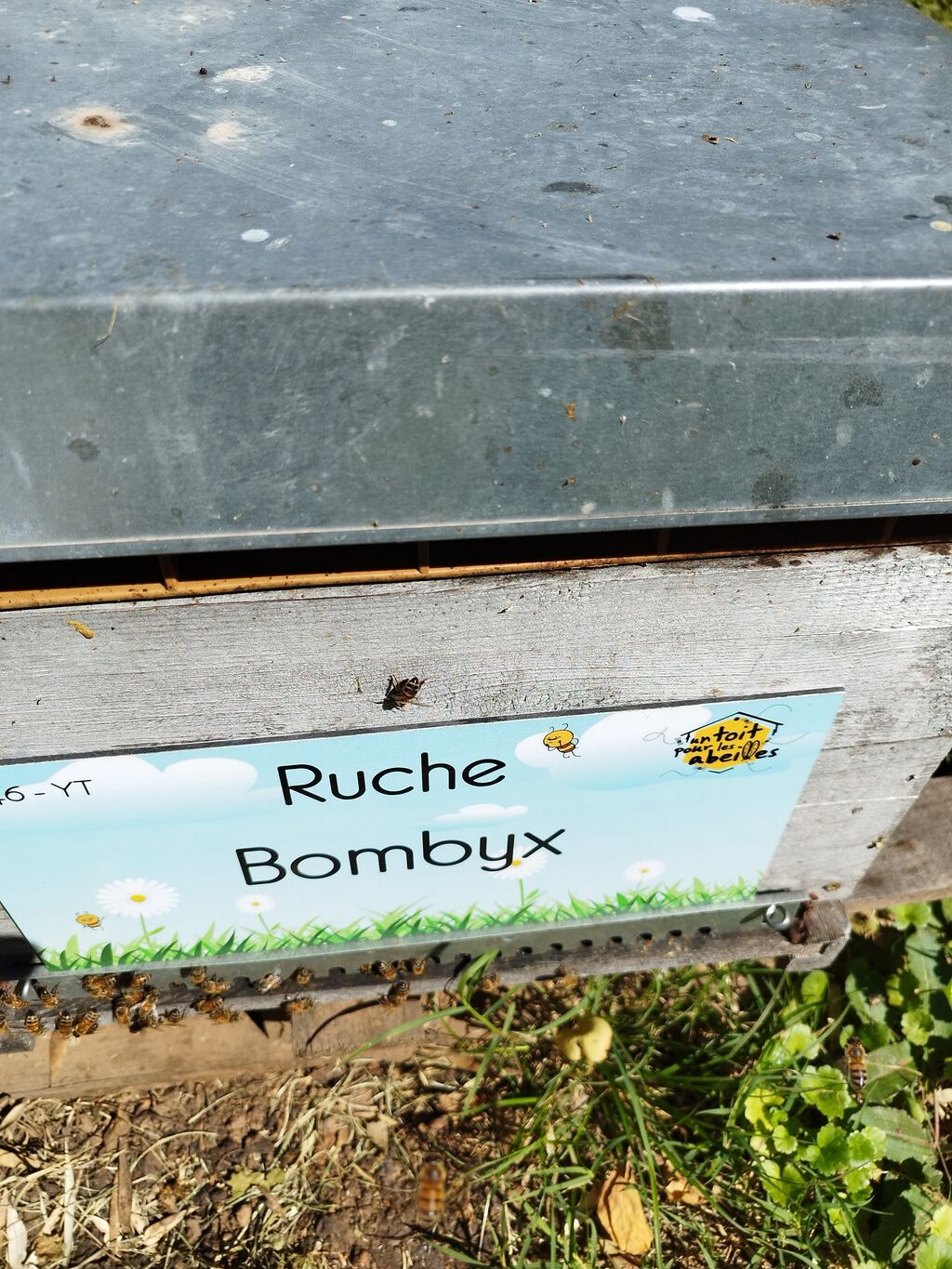 La ruche Bombyx