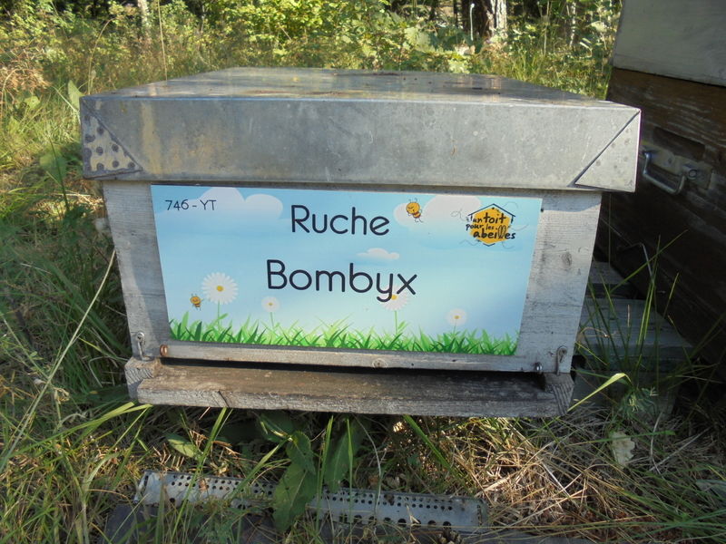La ruche Bombyx