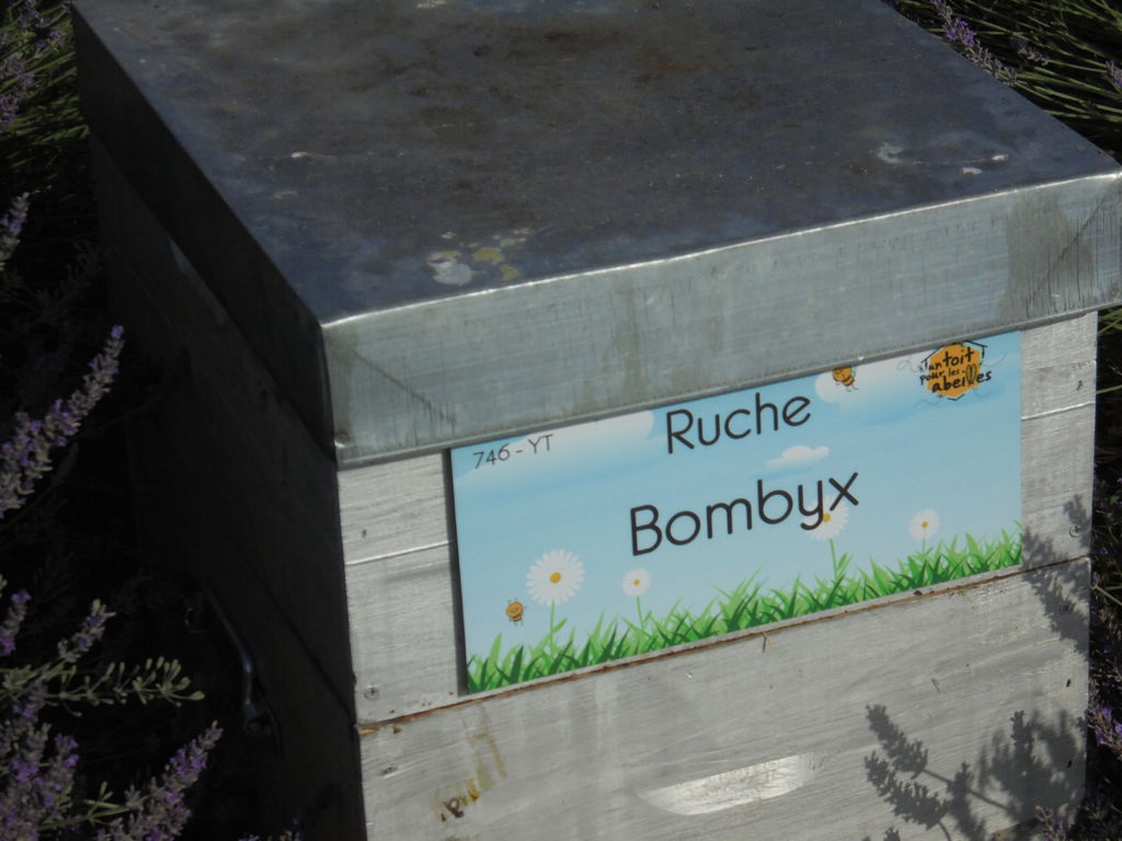 La ruche Bombyx