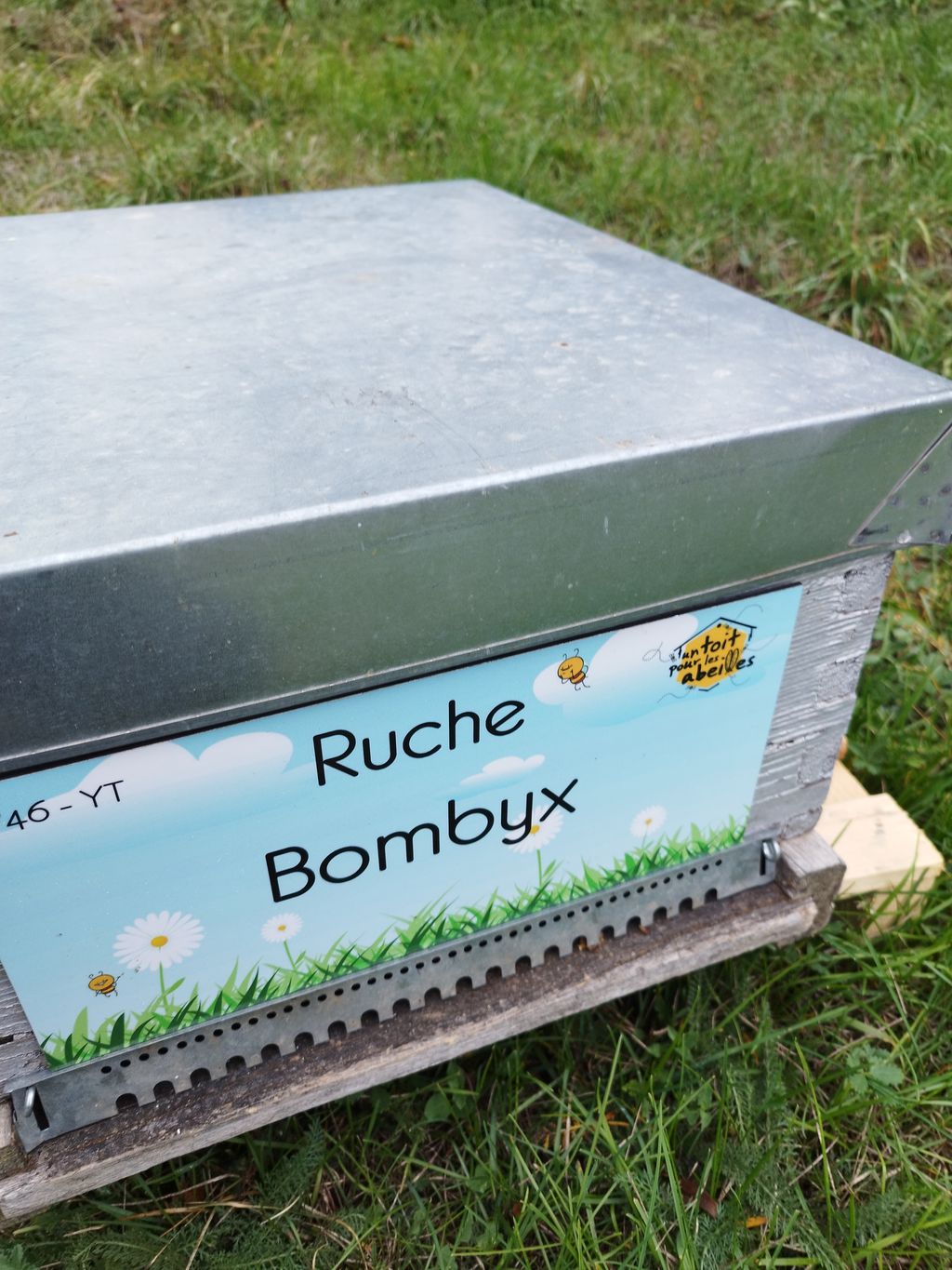La ruche Bombyx