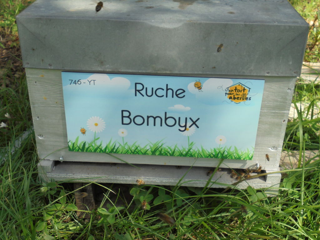 La ruche Bombyx