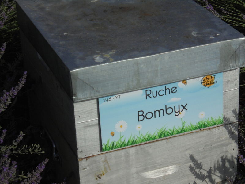 La ruche Bombyx