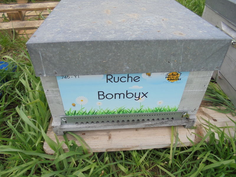 La ruche Bombyx