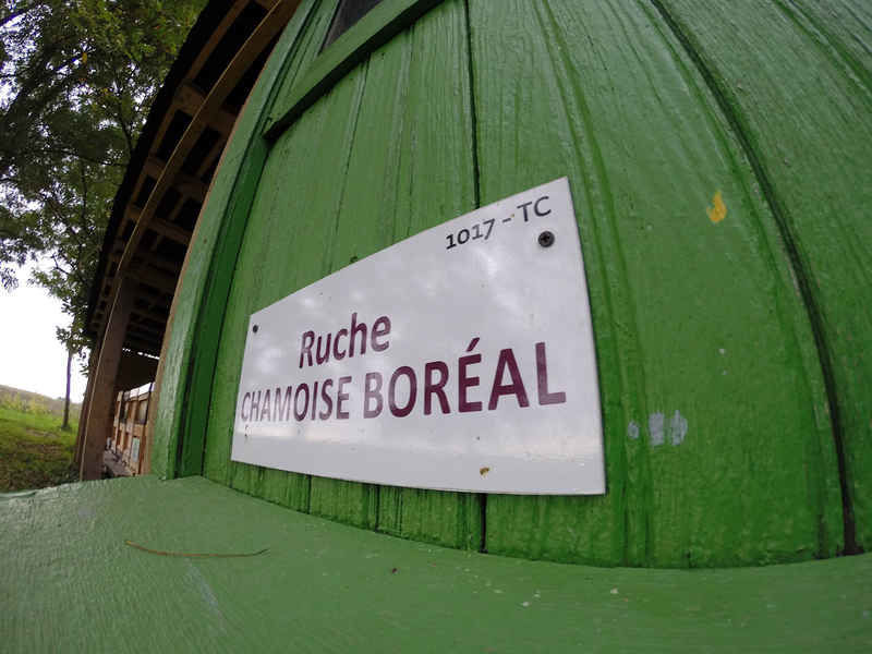 La ruche Chamoise boréal