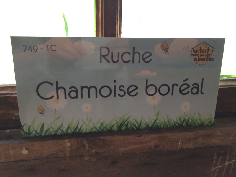 La ruche Chamoise boréal