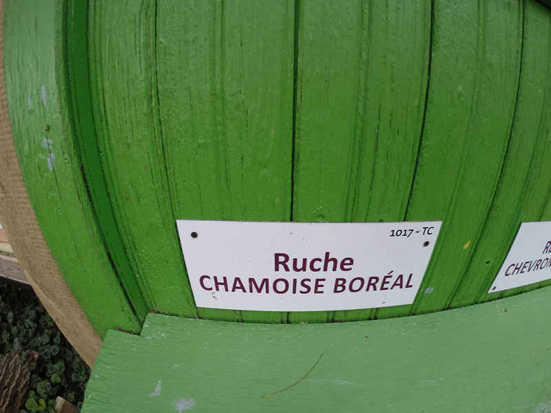 La ruche Chamoise boréal