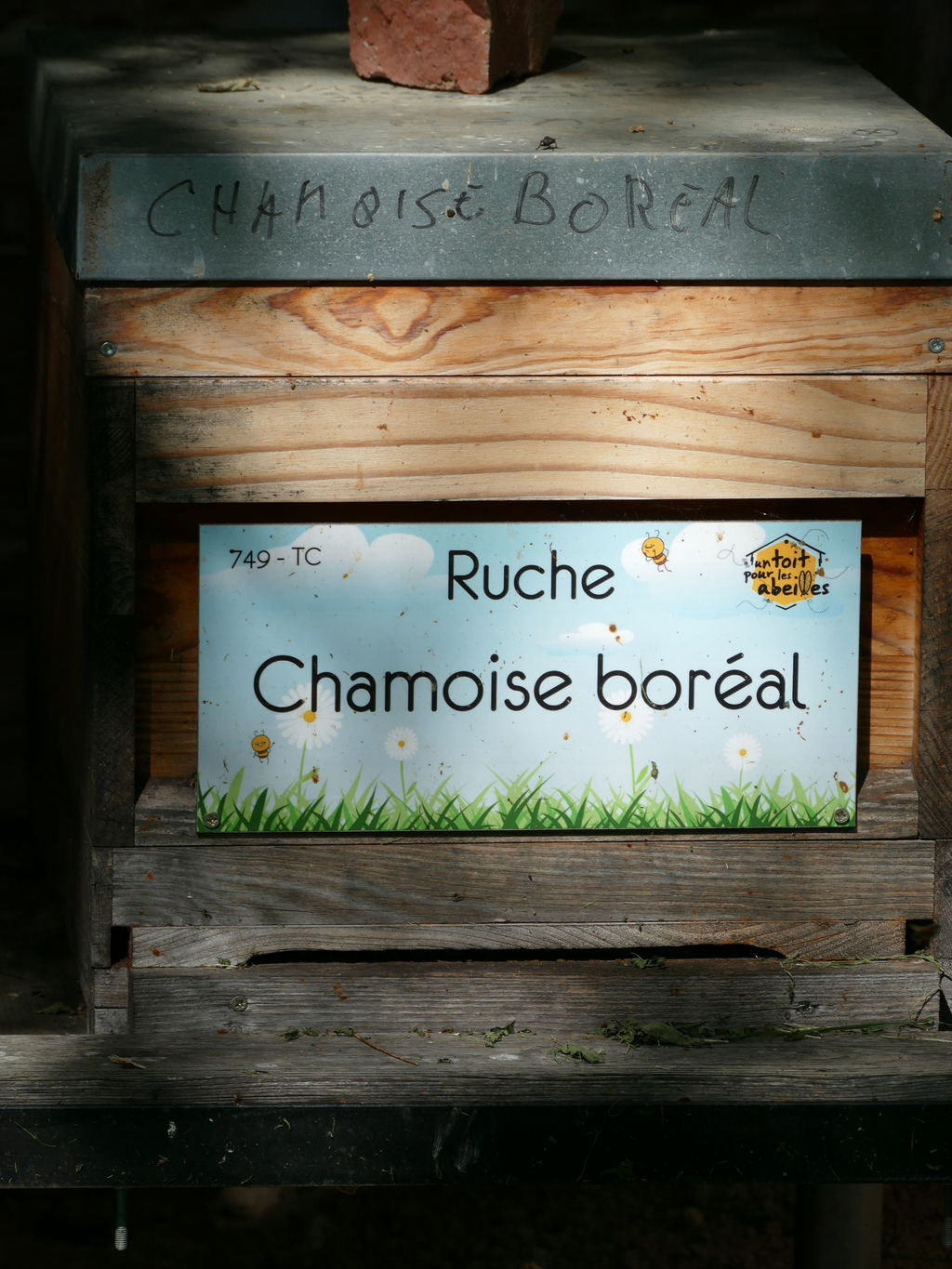 La ruche Chamoise boréal
